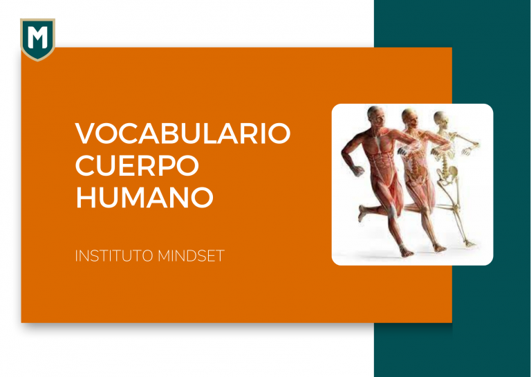 Vocabulario Cuerpo Humano I