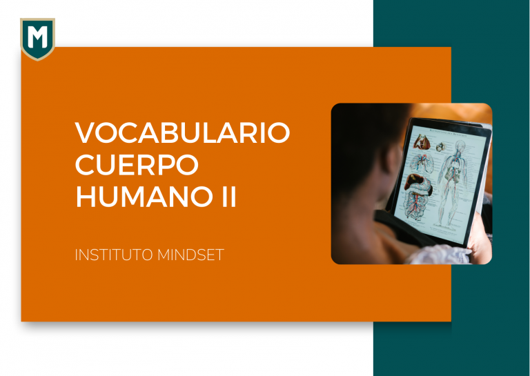 Vocabulario Cuerpo Humano II